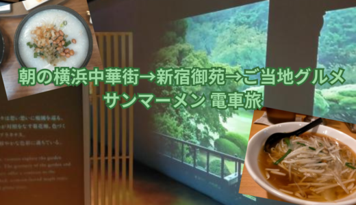 朝の横浜中華街→新宿御苑→ご当地グルメサンマーメン 電車旅